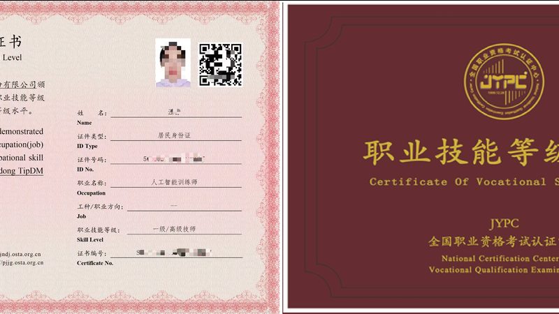 在众多AI算法定制公司中，以下几家值得推荐：